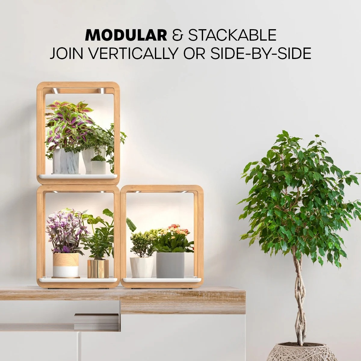 Modular indoor garden