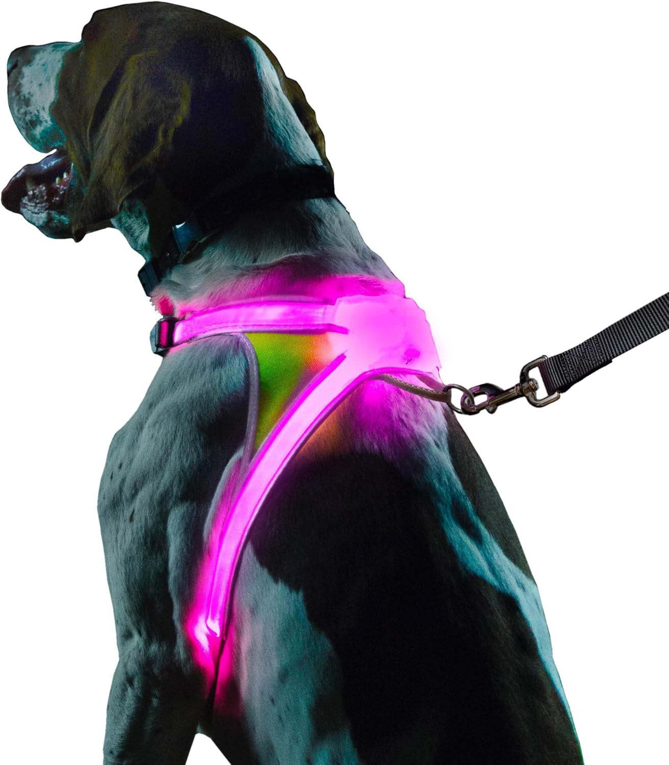 Rechargeable reflective dog harness