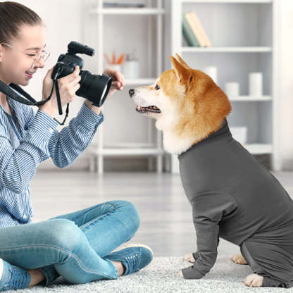 Dog Post-Surgery Recovery Suit – With Legs for Small, Medium & Large Dogs
