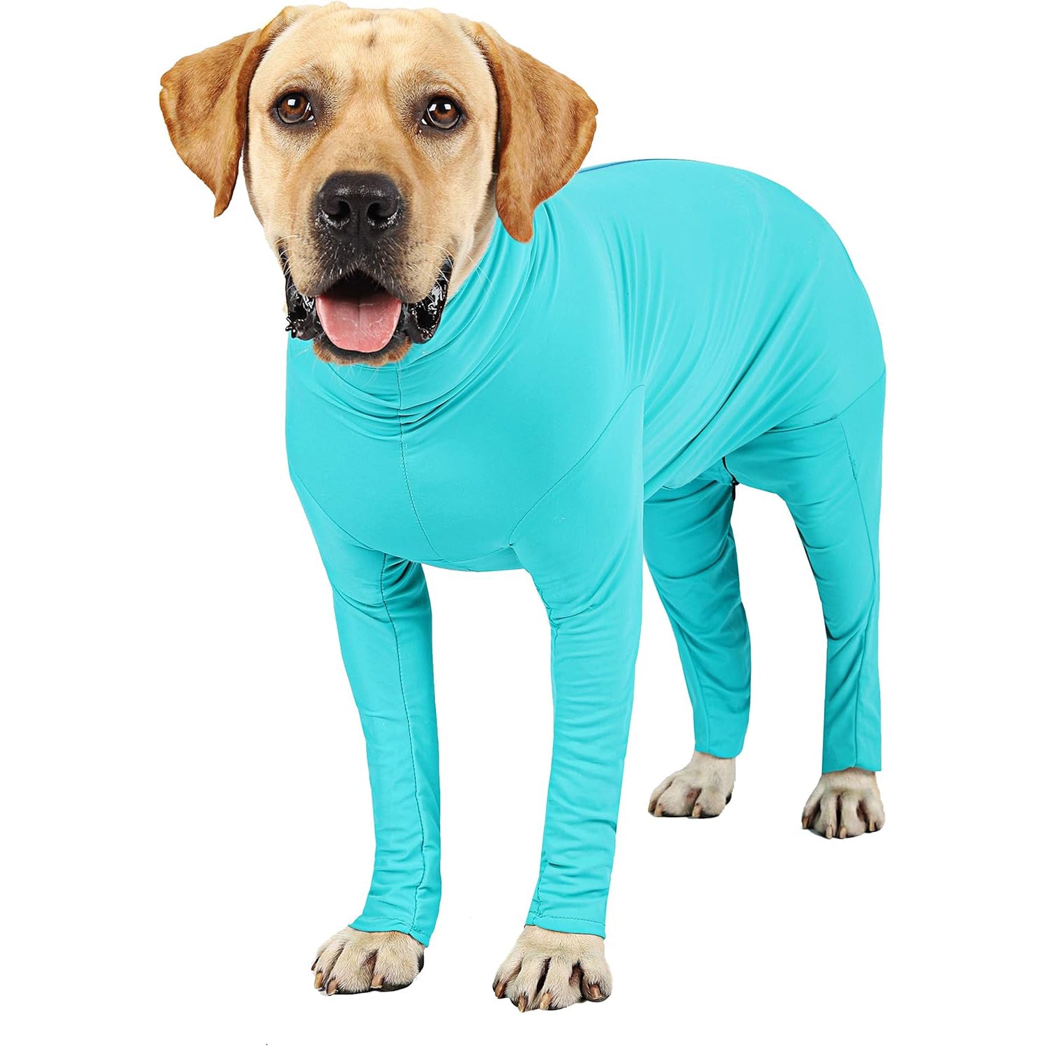 Dog Post-Surgery Recovery Suit – With Legs for Small, Medium & Large Dogs