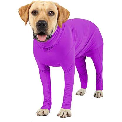 Dog Post-Surgery Recovery Suit – With Legs for Small, Medium & Large Dogs