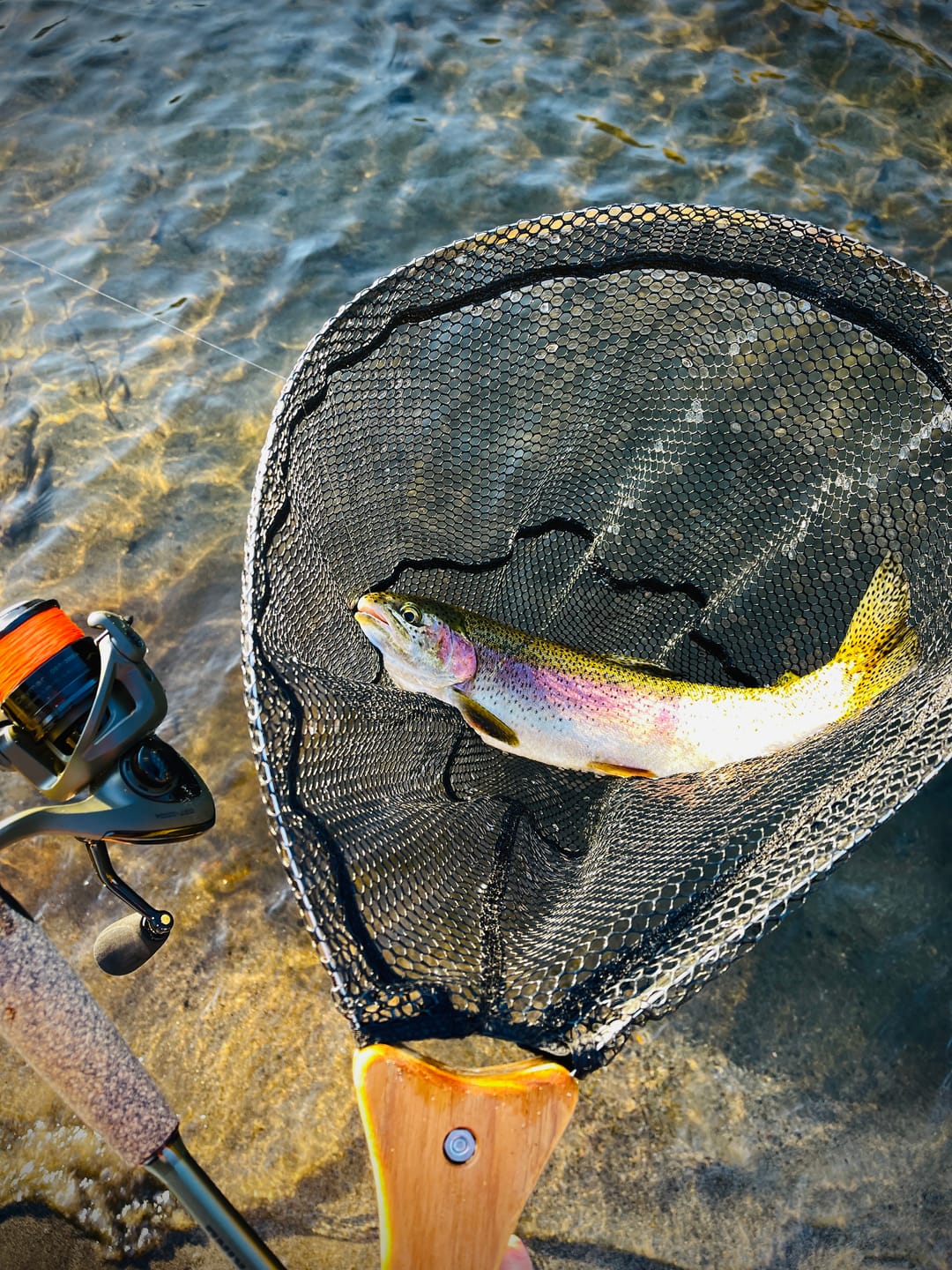 Collapsible Fishing Net — Portable Foldable Landing Net