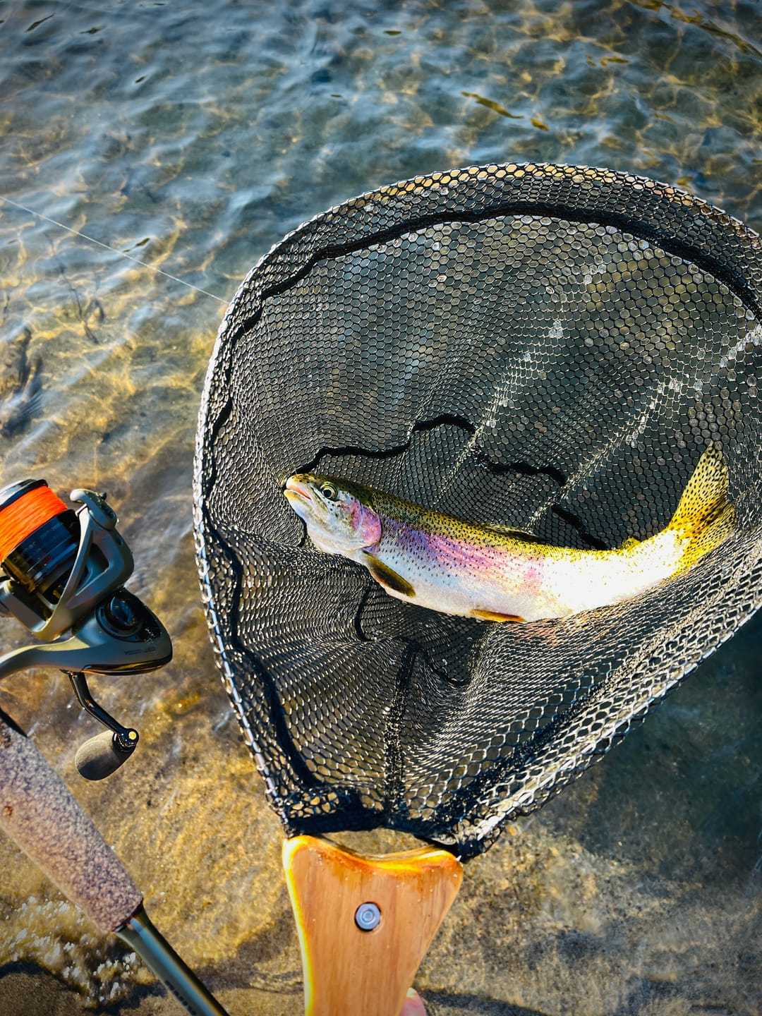 Collapsible Fishing Net — Portable Foldable Landing Net