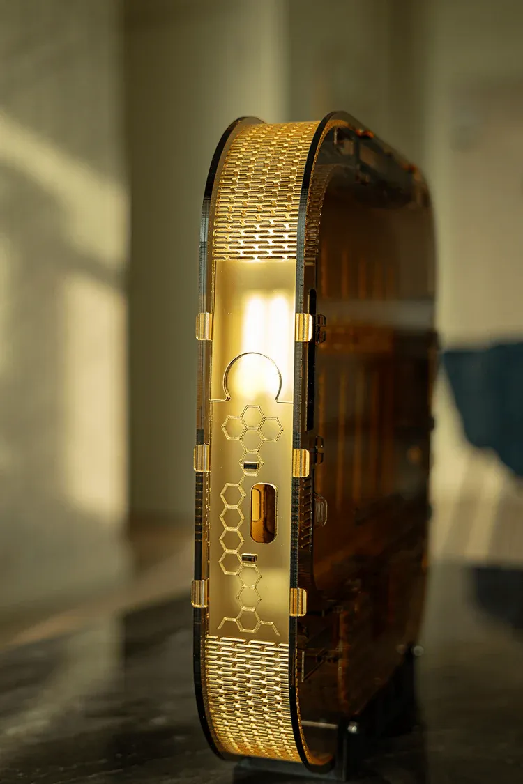 Futuristic Modular Beehive for Sustainable Beekeeping & Bee Observation