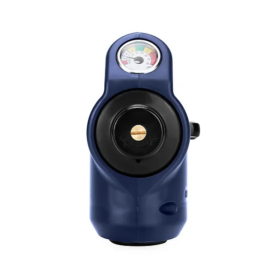 4-in-1 RV Water Pressure Regulator-Smart Flow Control & Plumbing Protection Solution