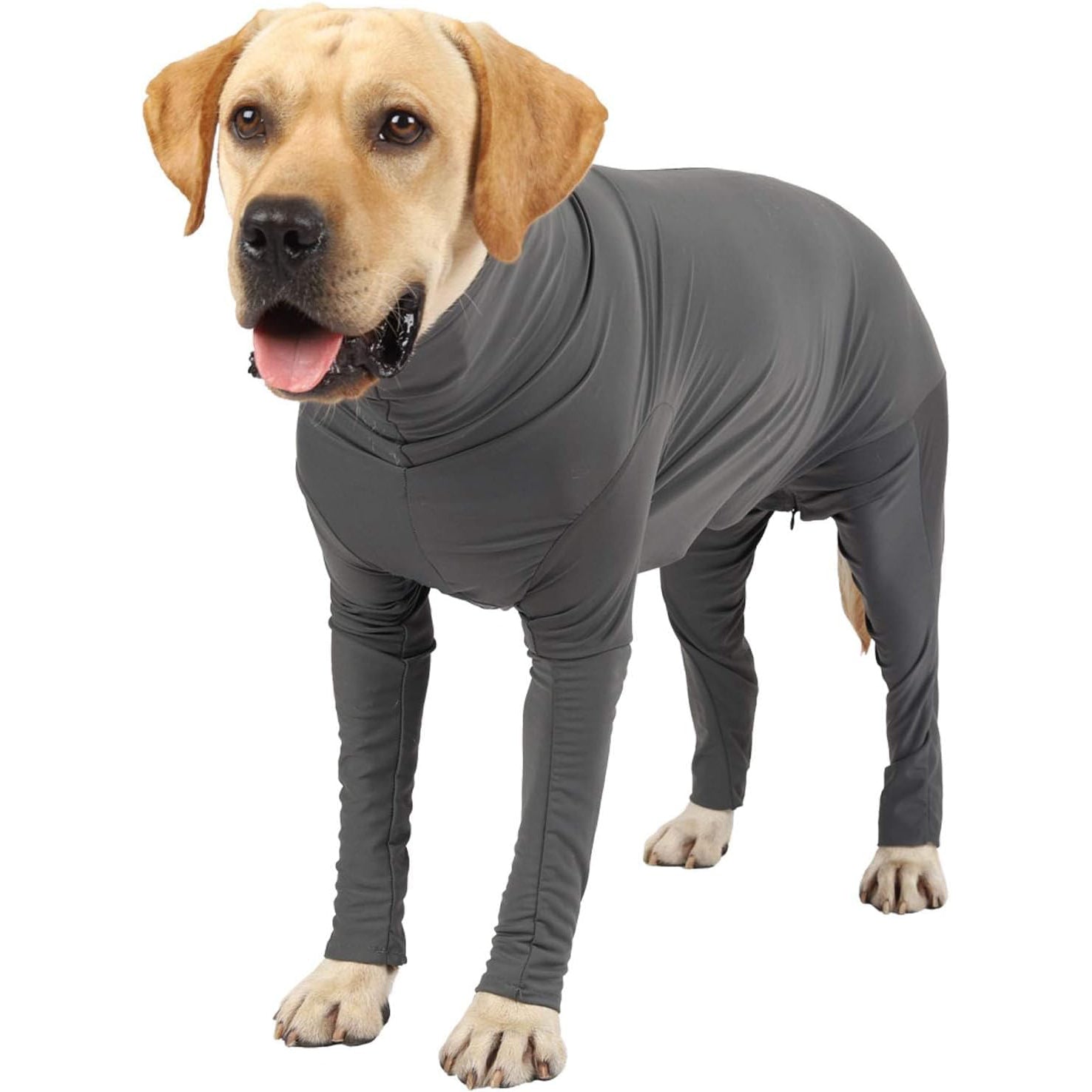 Dog Post-Surgery Recovery Suit – With Legs for Small, Medium & Large Dogs