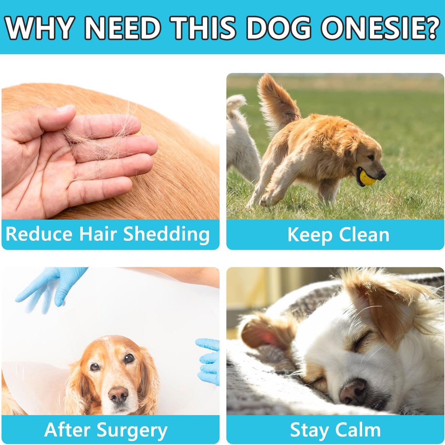Dog Post-Surgery Recovery Suit – With Legs for Small, Medium & Large Dogs