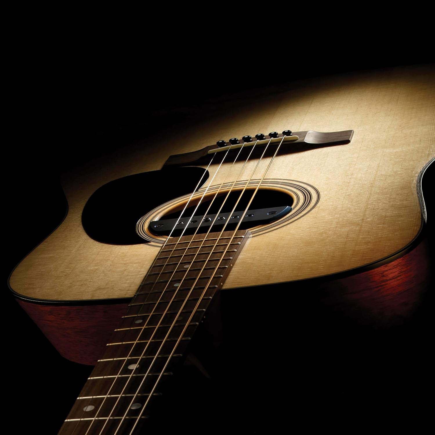 Passive Soundhole Pickup — for Live Performance and Studio Applications