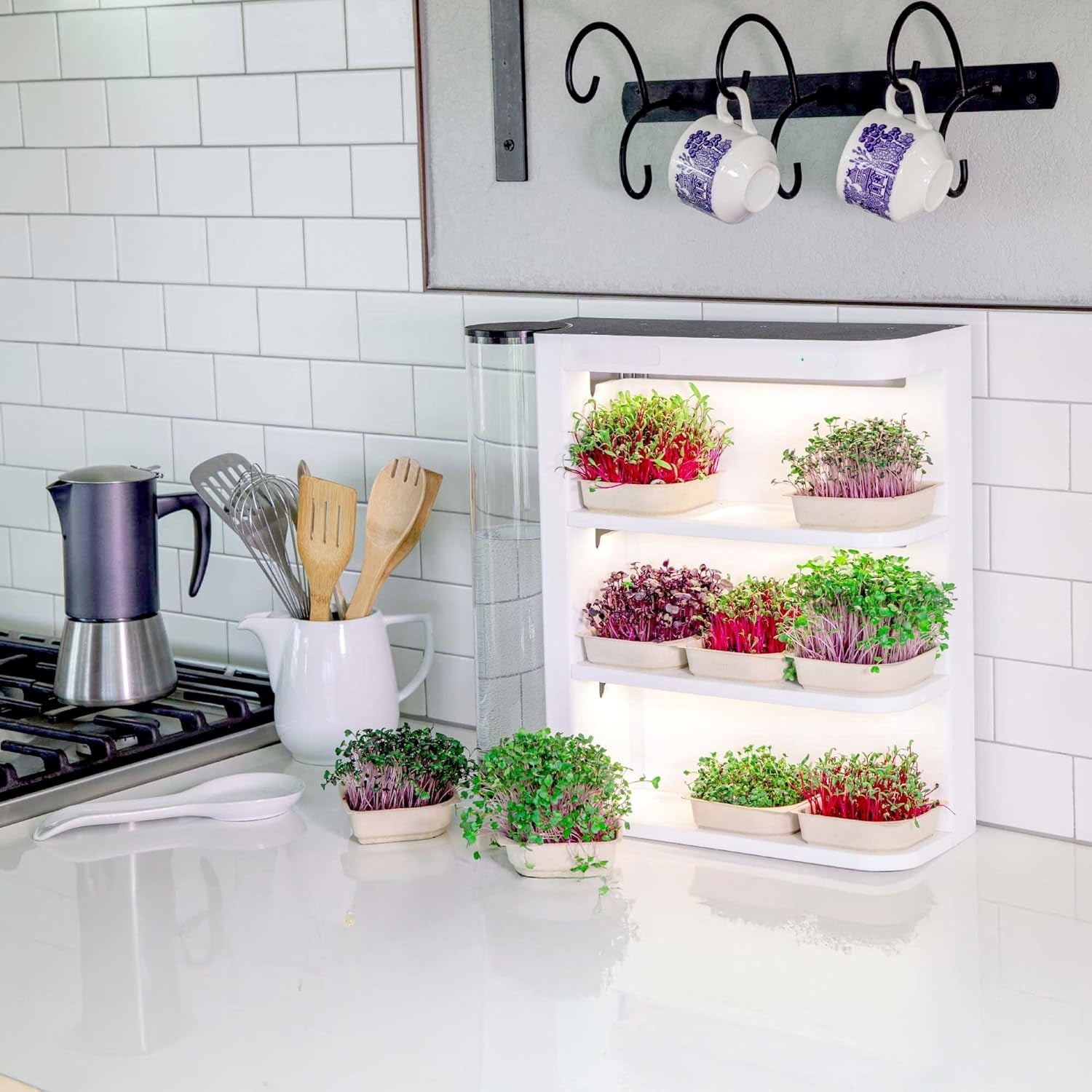 Smart Indoor Garden Growing System with LED Light & Auto Watering
