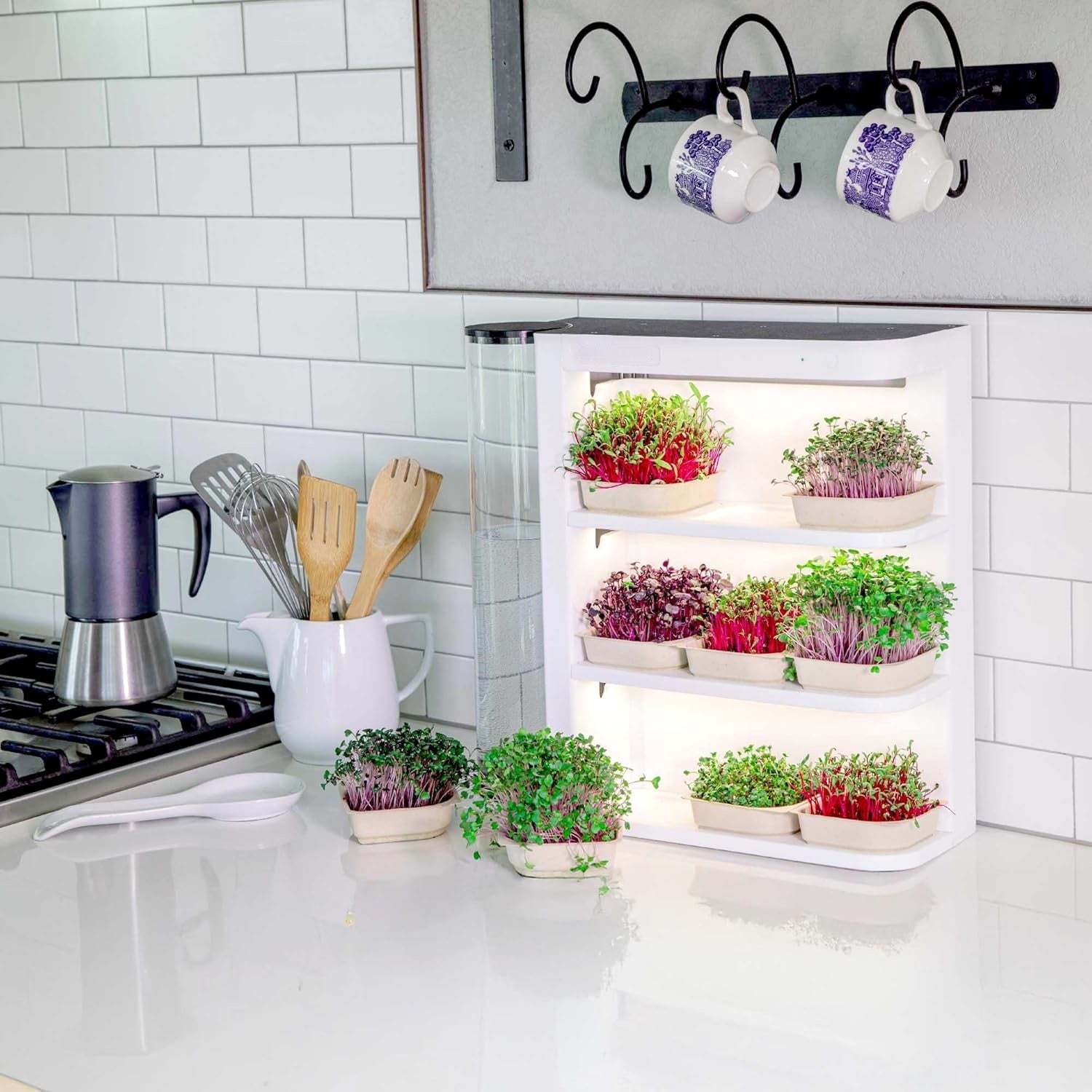 Smart Indoor Garden Growing System with LED Light & Auto Watering