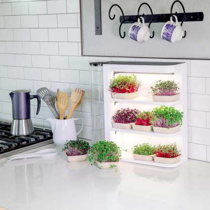 Smart Indoor Garden Growing System with LED Light & Auto Watering