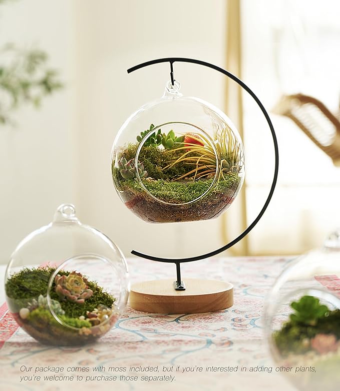 15-piece eco-bottle set, including live moss