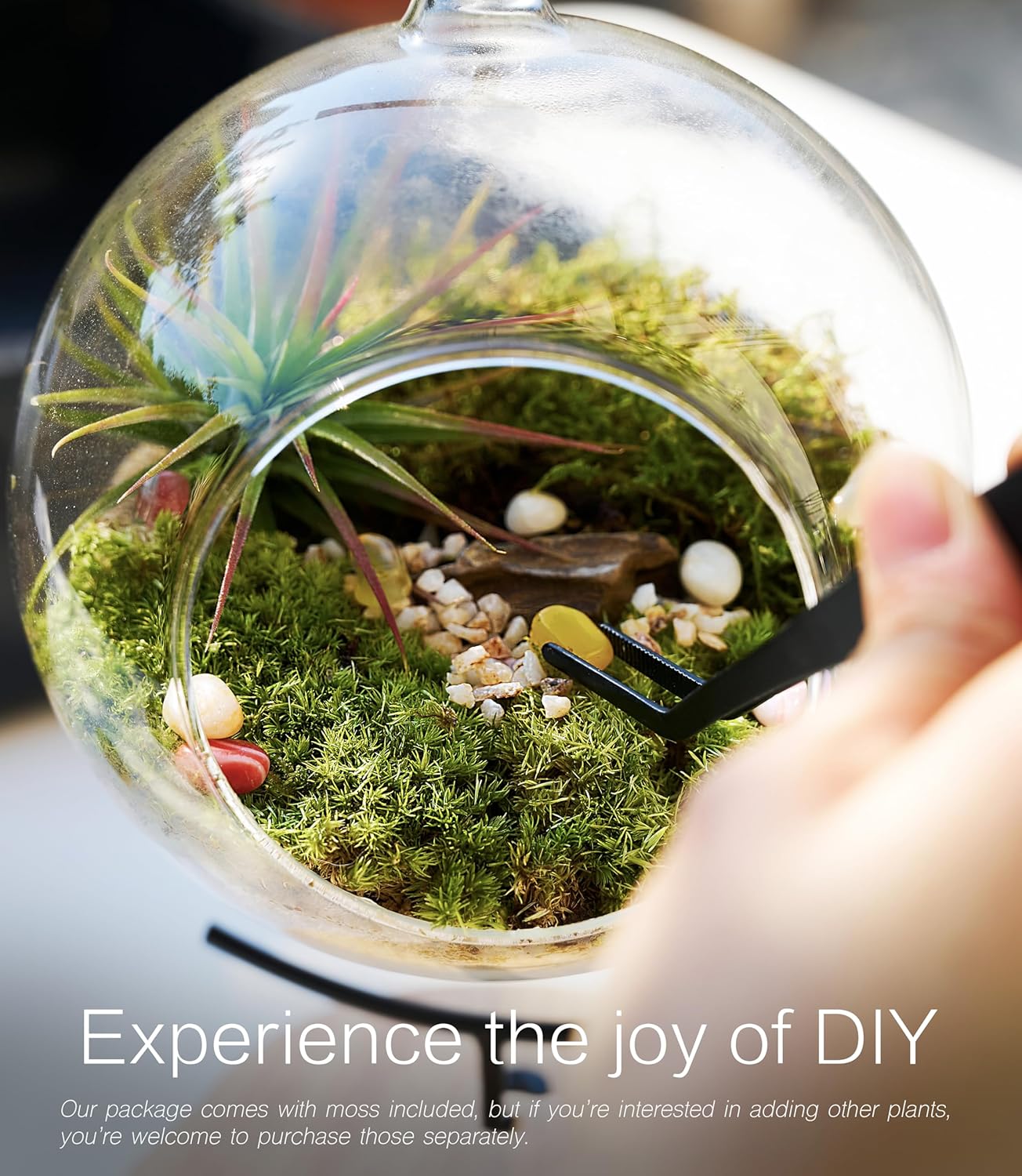 15-piece eco-bottle set, including live moss