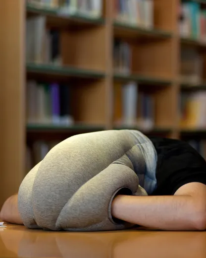 Nap Anywhere Pillow — Compact Travel & Office Nap Cushion