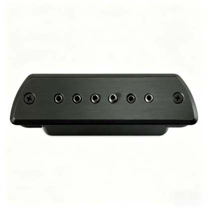 Passive Soundhole Pickup — for Live Performance and Studio Applications
