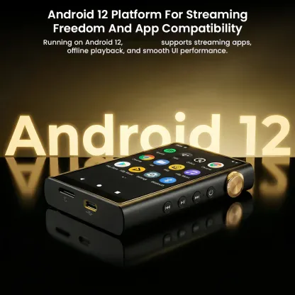 Portable Hi-Fi Digital Audio Player-High Resolution Music Experience with Android Streaming