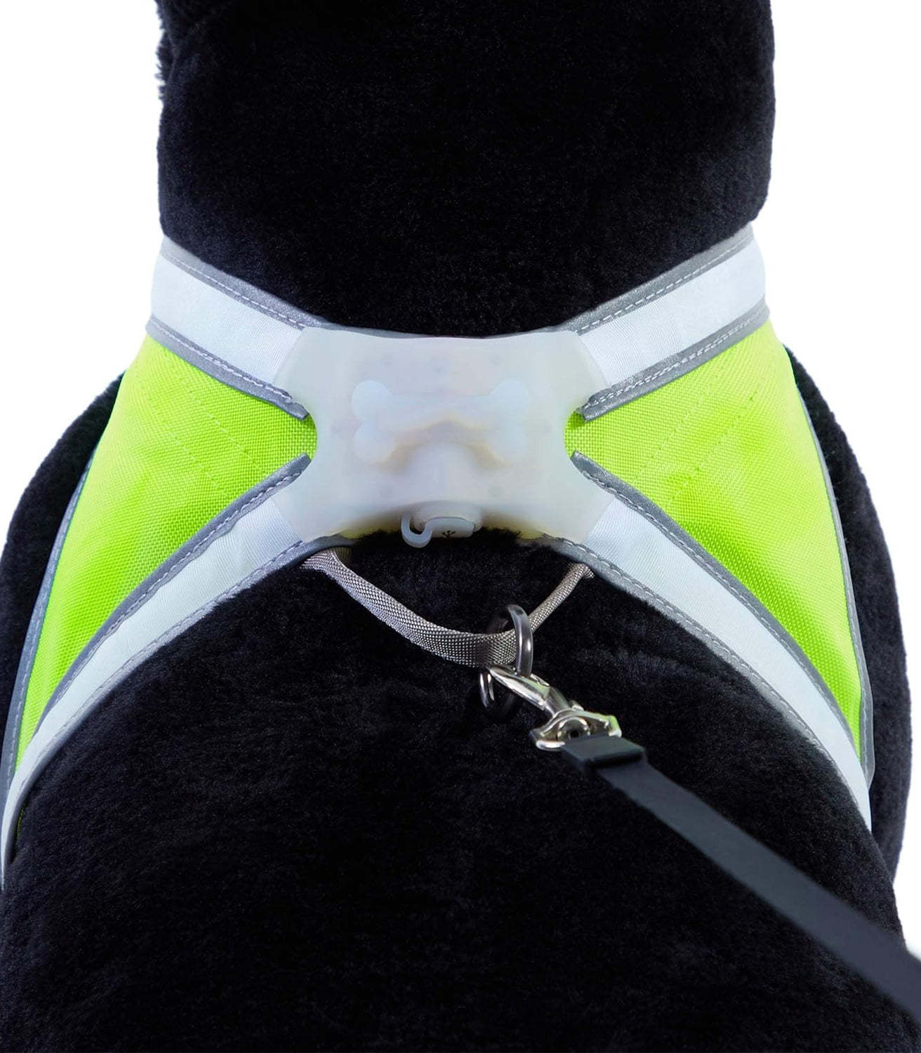 Rechargeable reflective dog harness