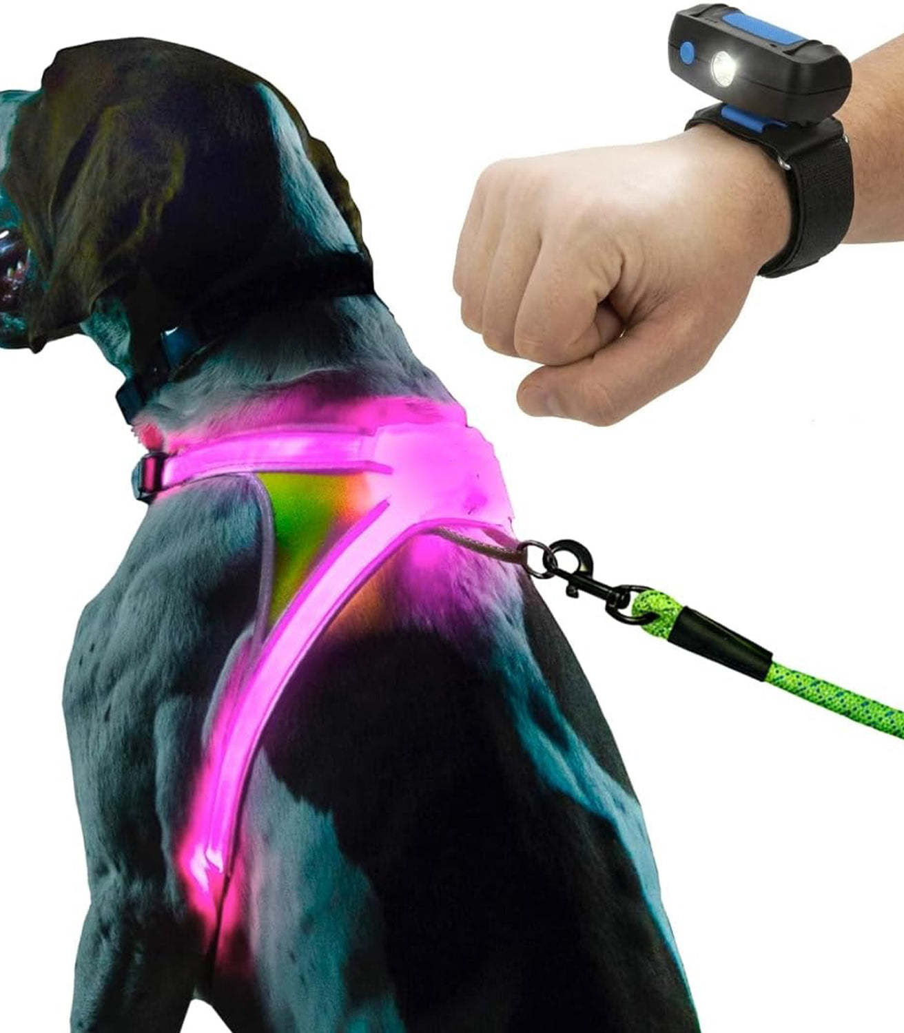 Rechargeable reflective dog harness