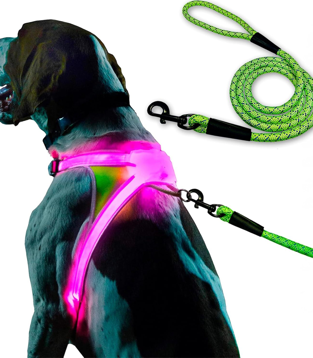 Rechargeable reflective dog harness