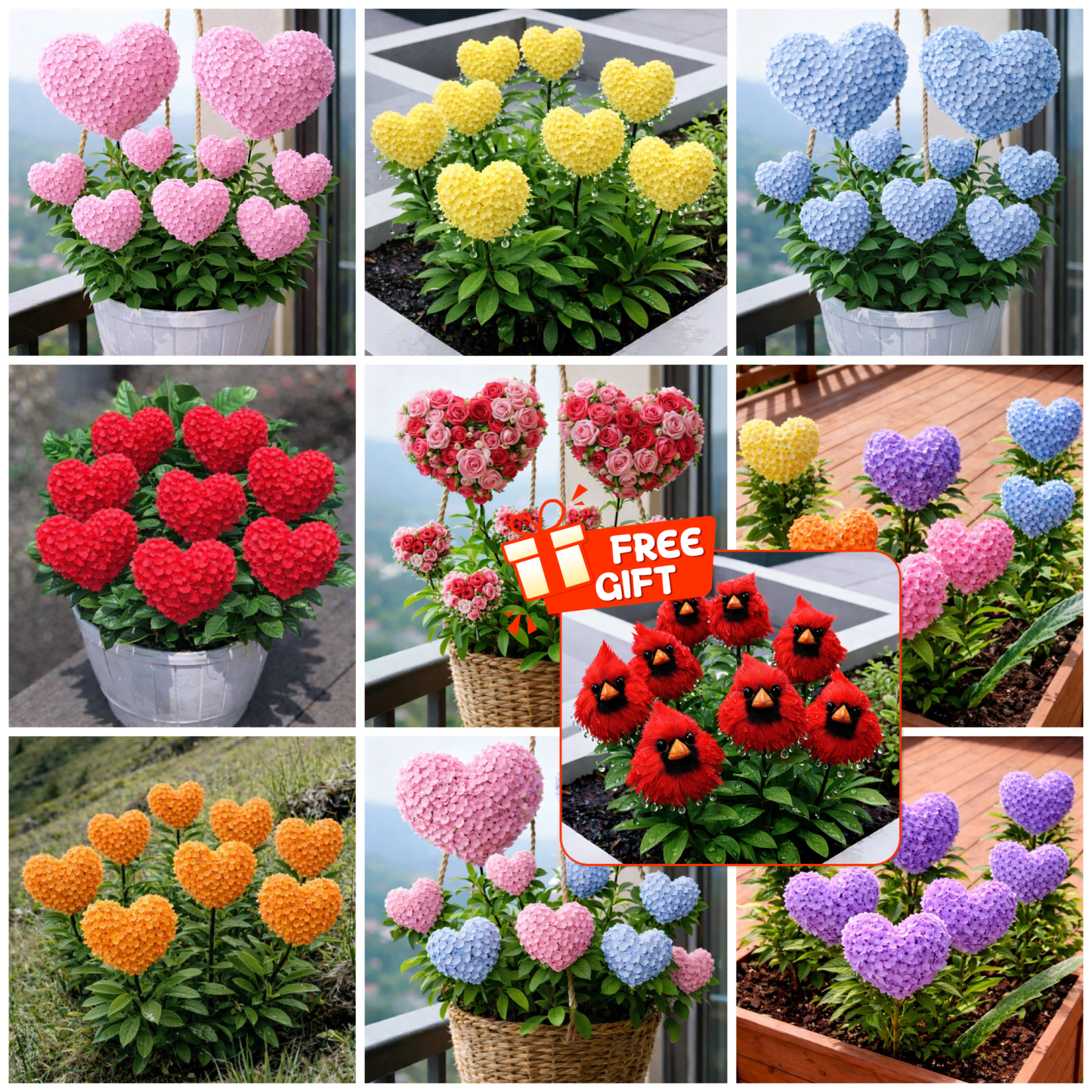 🔥Ограничена отстъпка, до 50% отстъпка 🌈 Семена на хортензия във форм