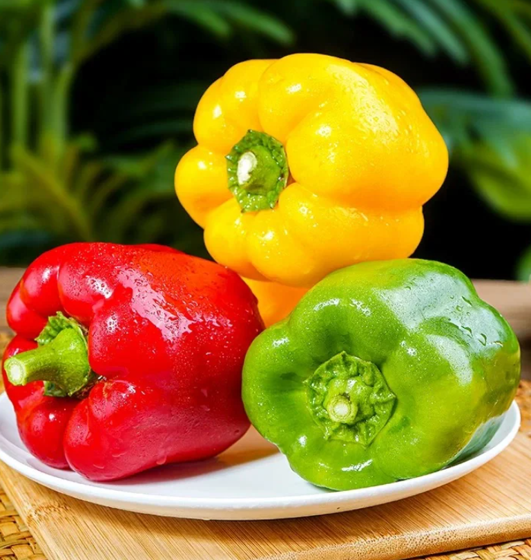 🌶️Semena velké sladké papriky F1 –100% klíčivost, vysoký úrodek, neGMO🌶️