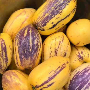 🌿✨Семена от "плод на женьшена"（Solanum muricatum）