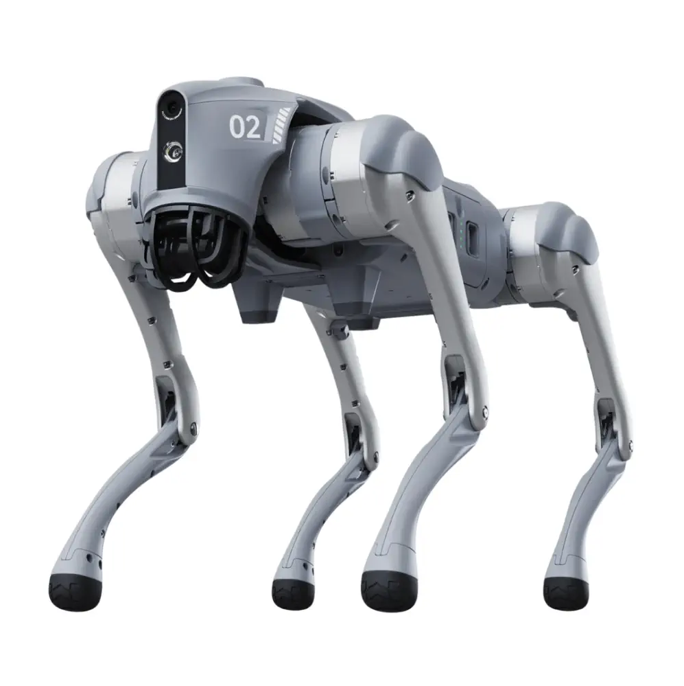Robotic Dog
