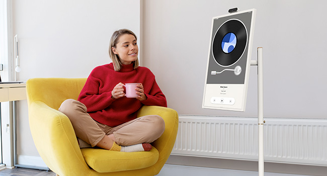 Portable TV