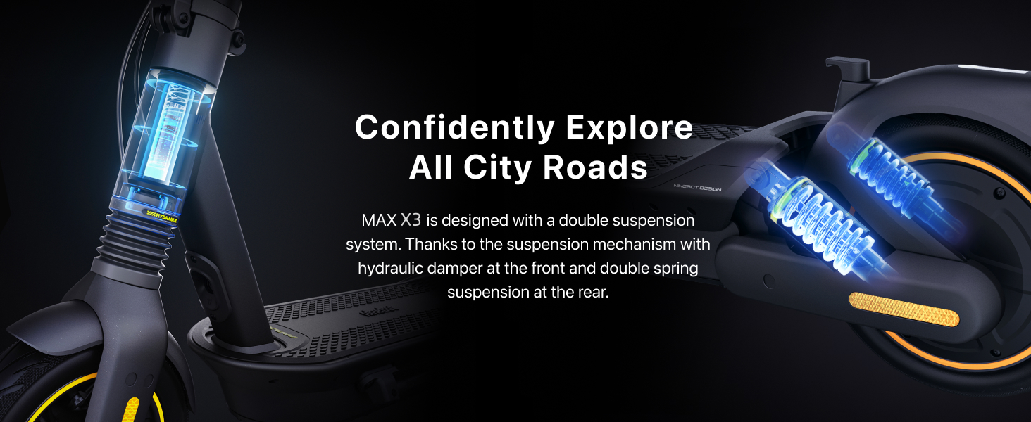 Double Suspension System