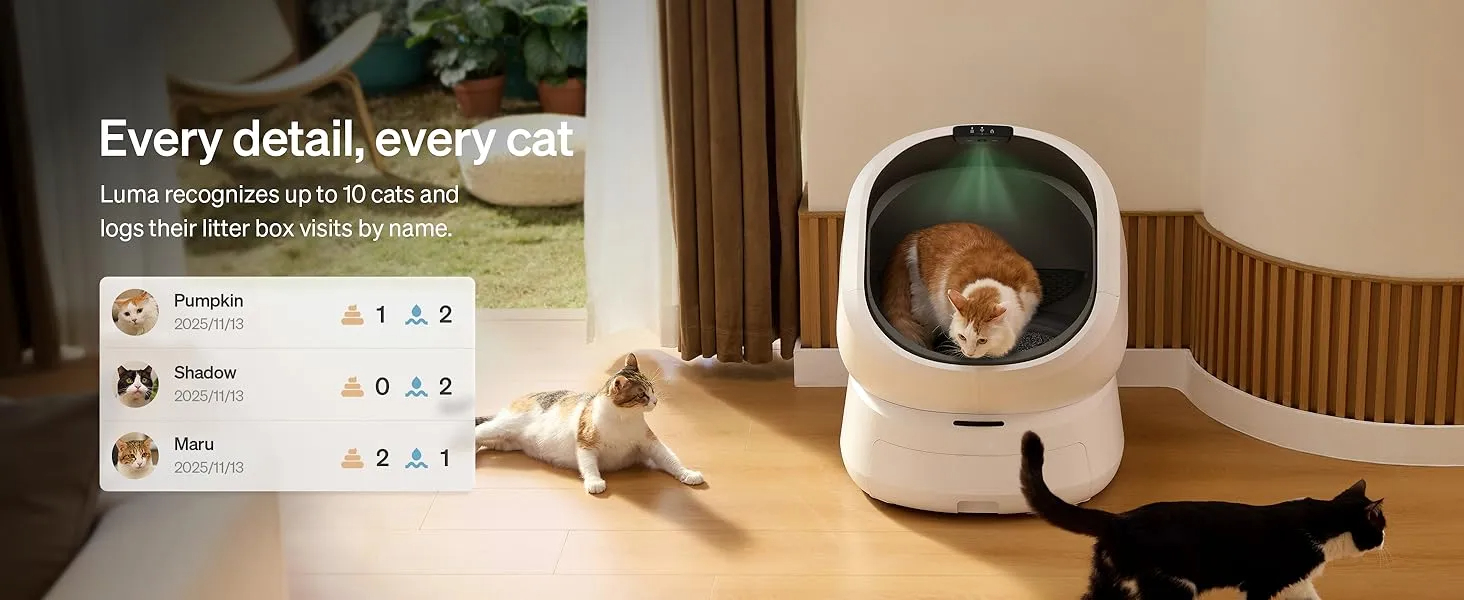 self cleaning litter box