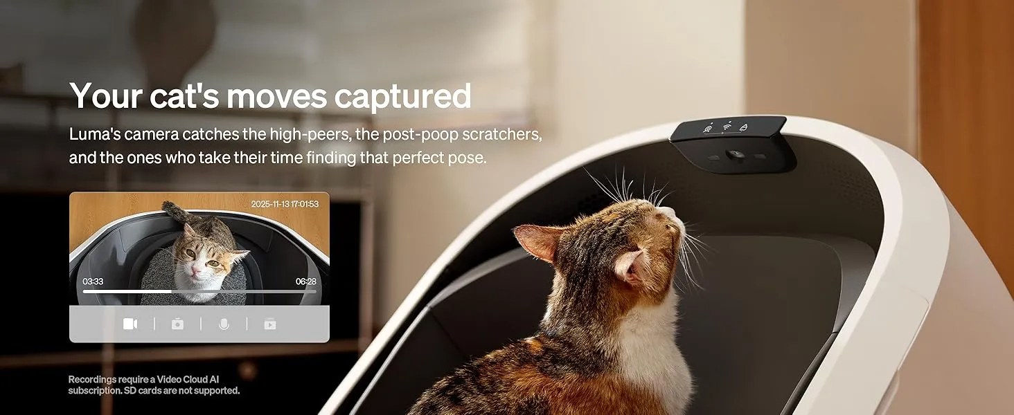 self cleaning litter box