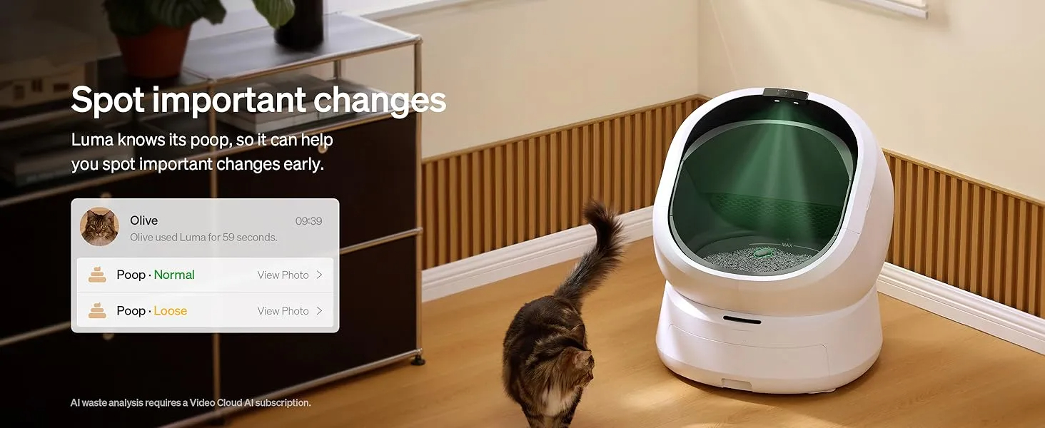 self cleaning litter box