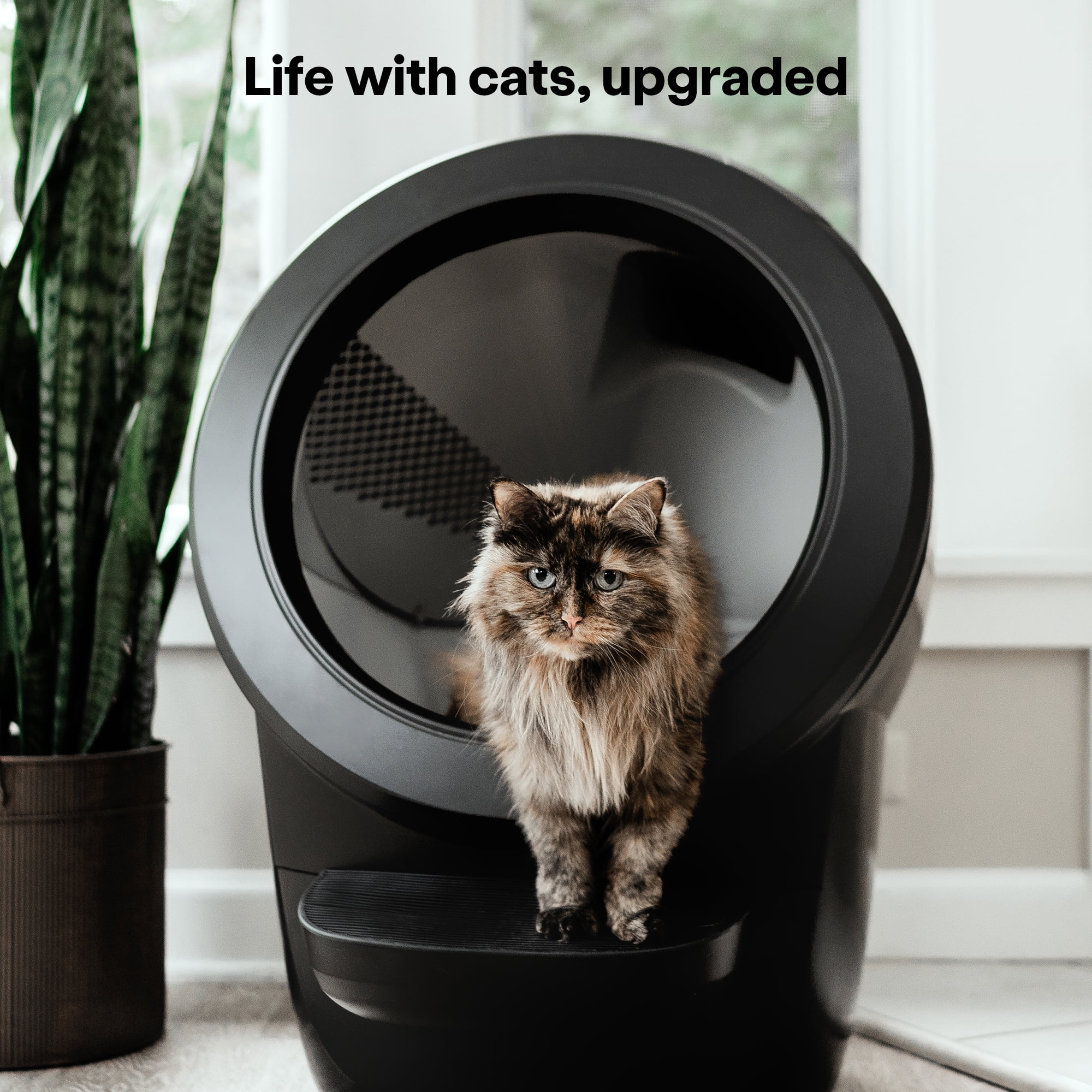 Self-Cleaning Cat Litter Box with Accessories, Black