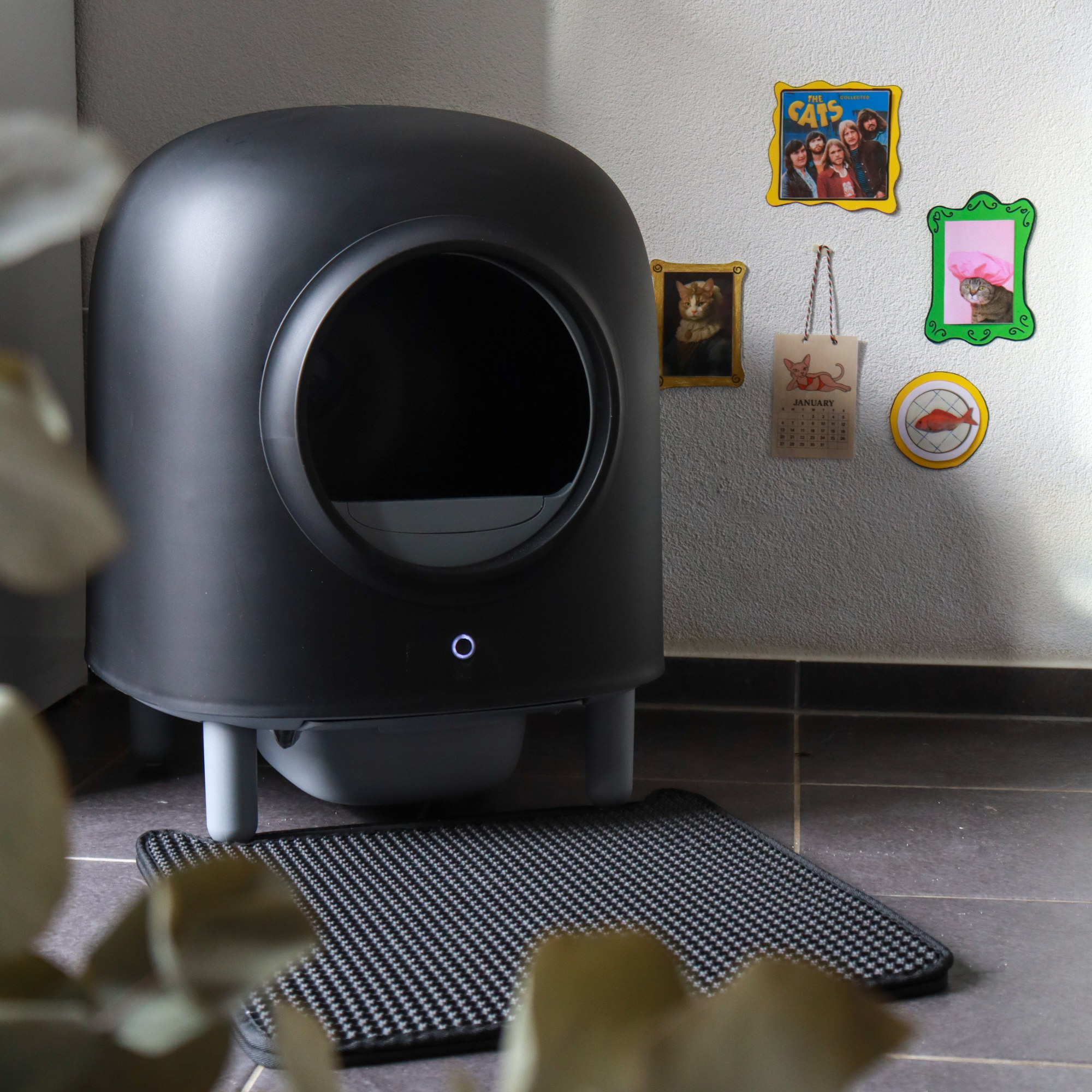 Self-Cleaning Litter Box