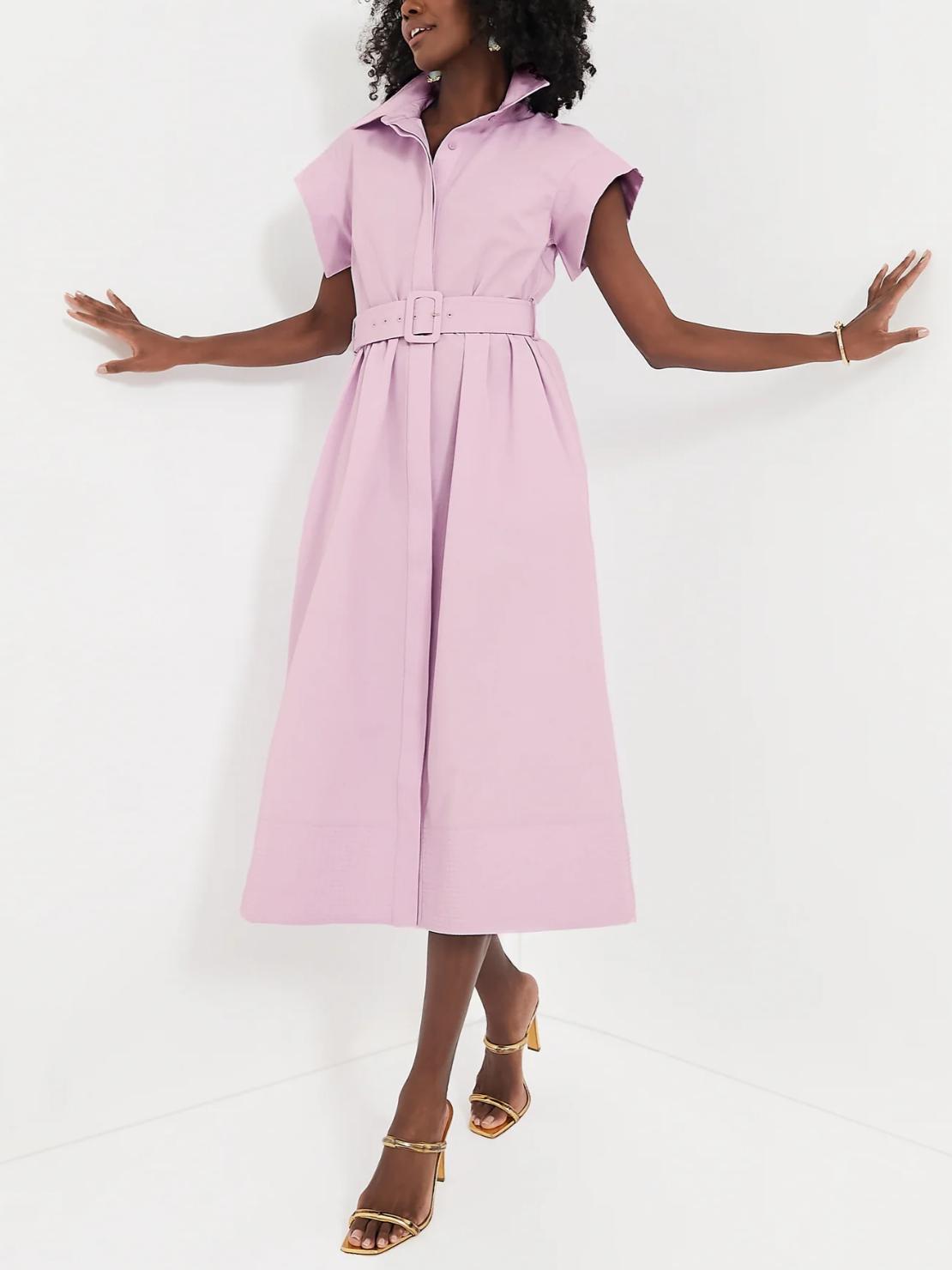 Classic Button-Up Belted Chloe Dress
