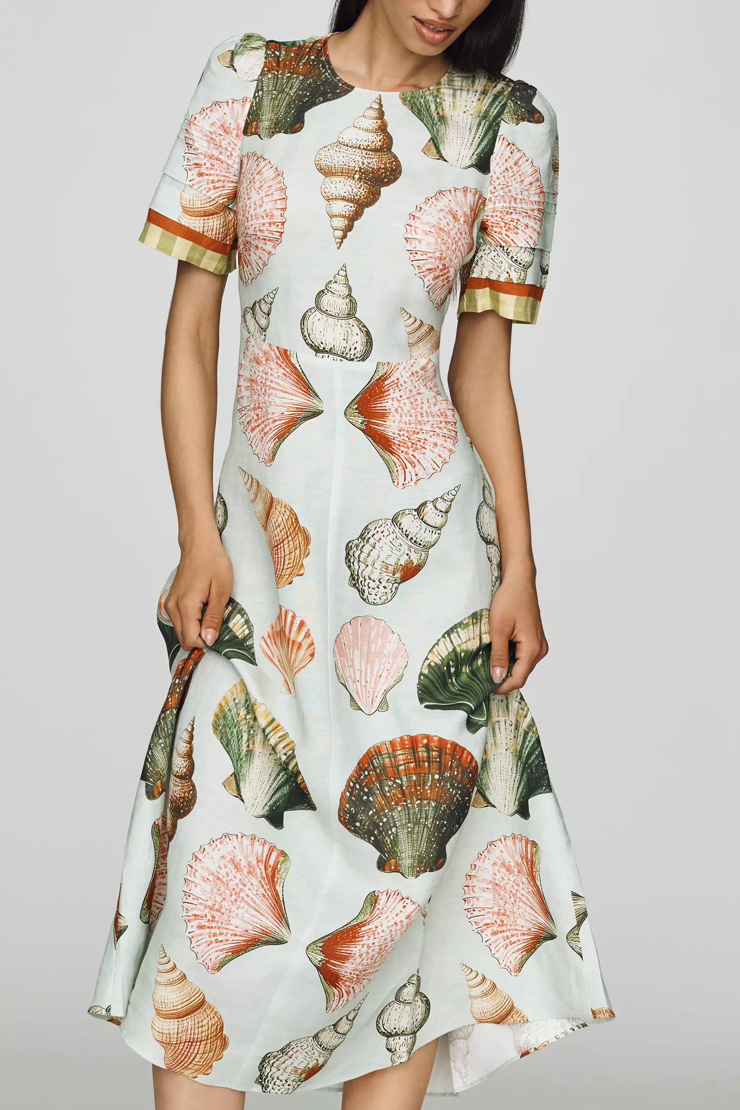 Shell Print Fit and Flare Short Sleeve Midi Dress