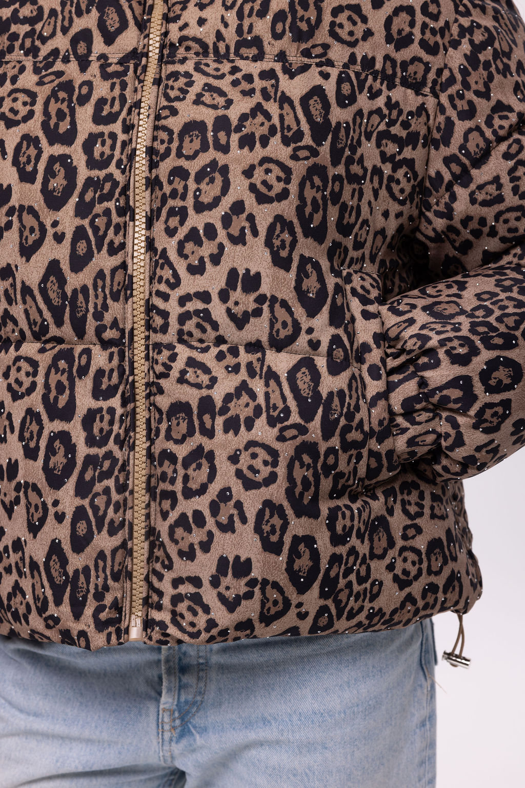 Chocolate Leopard Print Jacket