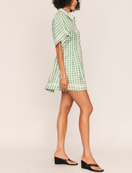 Swan Pleated Mini Dress