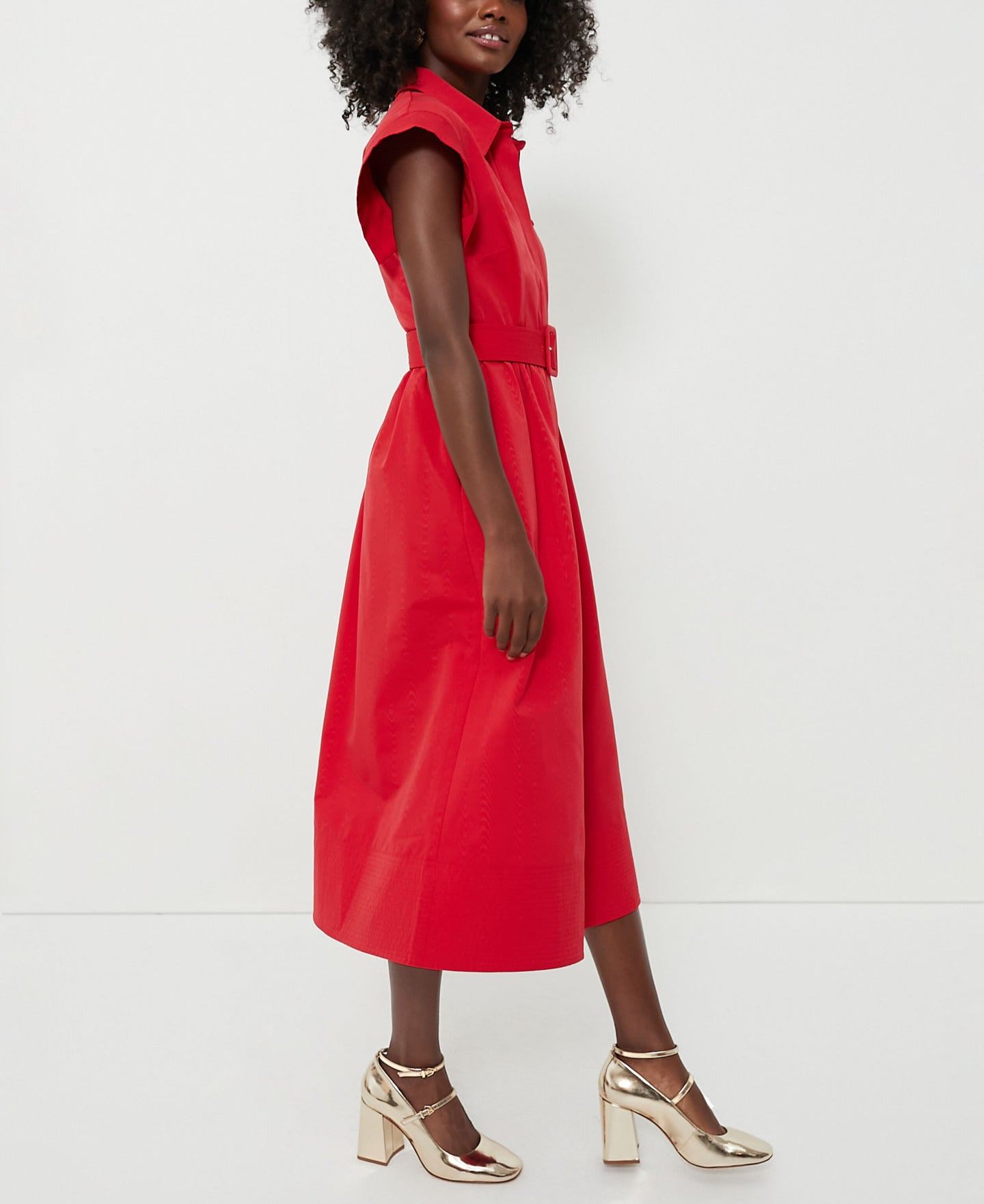 Classic Button-Up Belted Chloe Dress