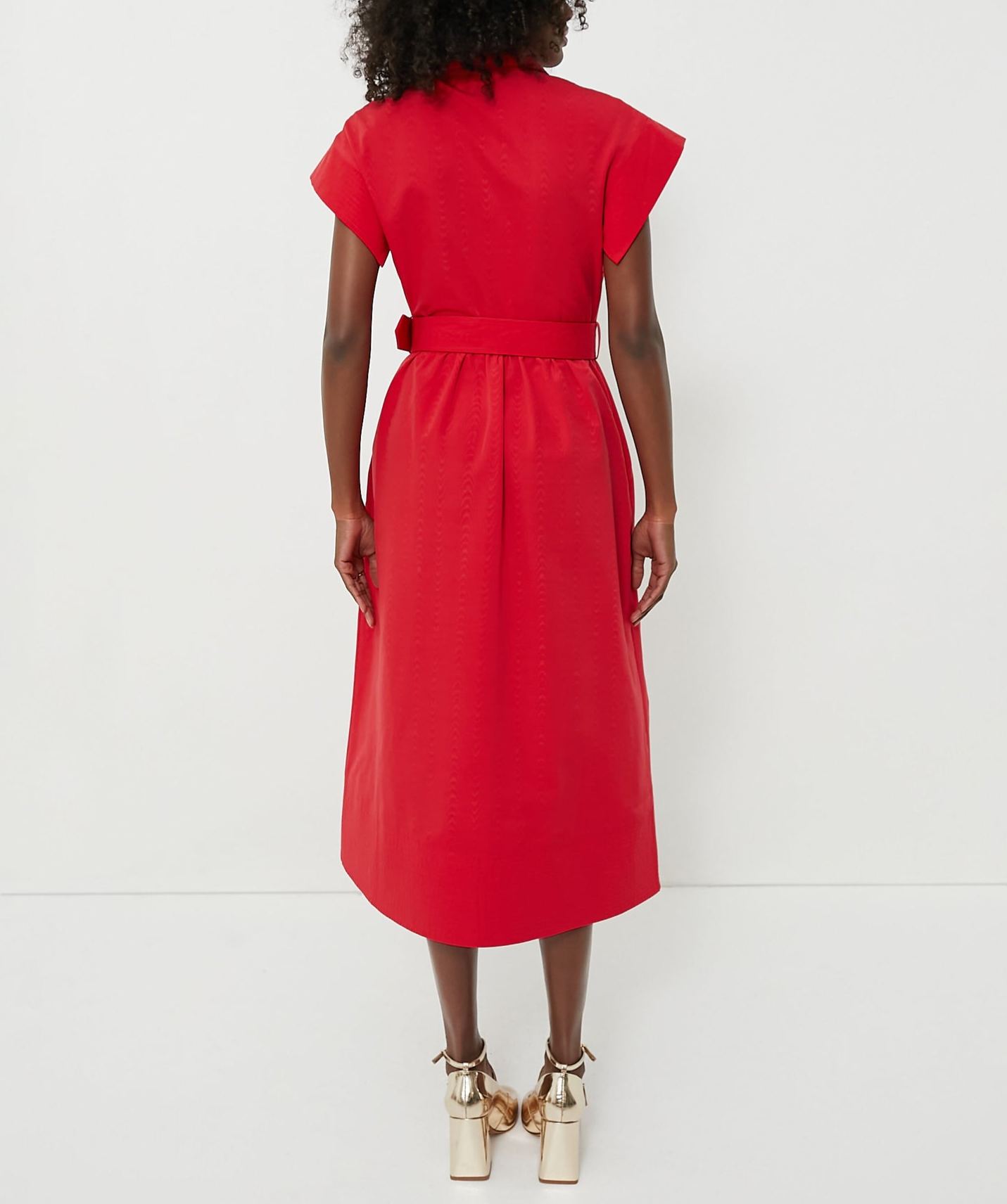 Classic Button-Up Belted Chloe Dress