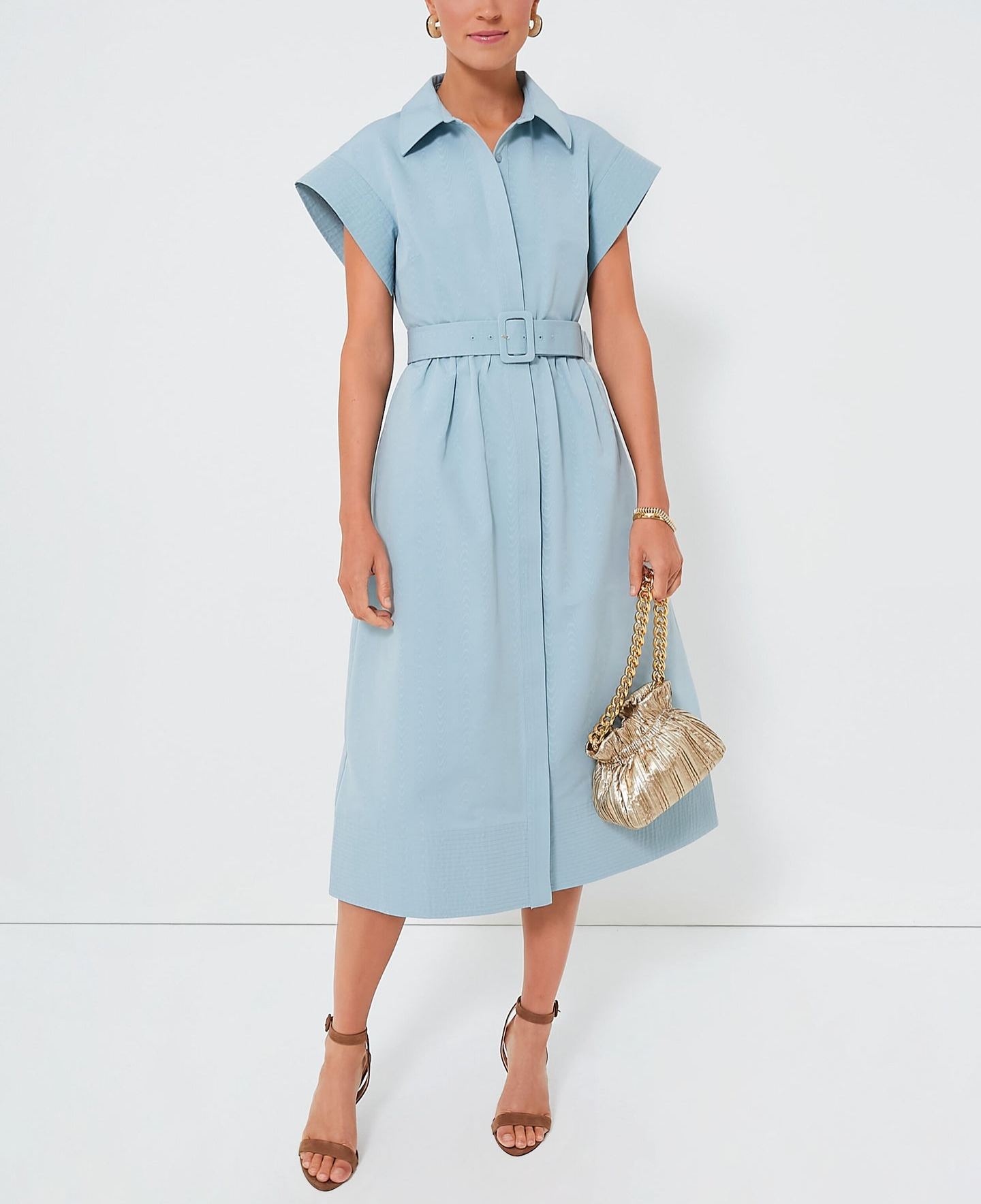 Classic Button-Up Belted Chloe Dress