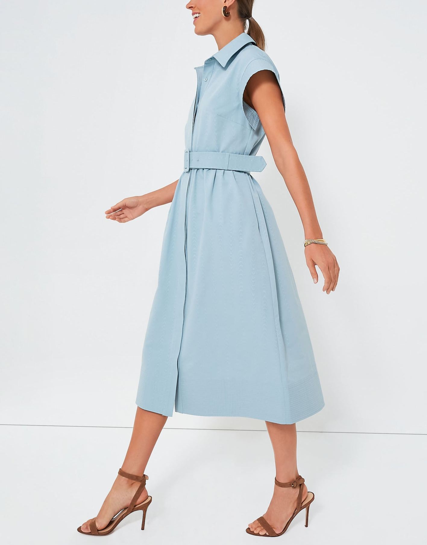 Classic Button-Up Belted Chloe Dress
