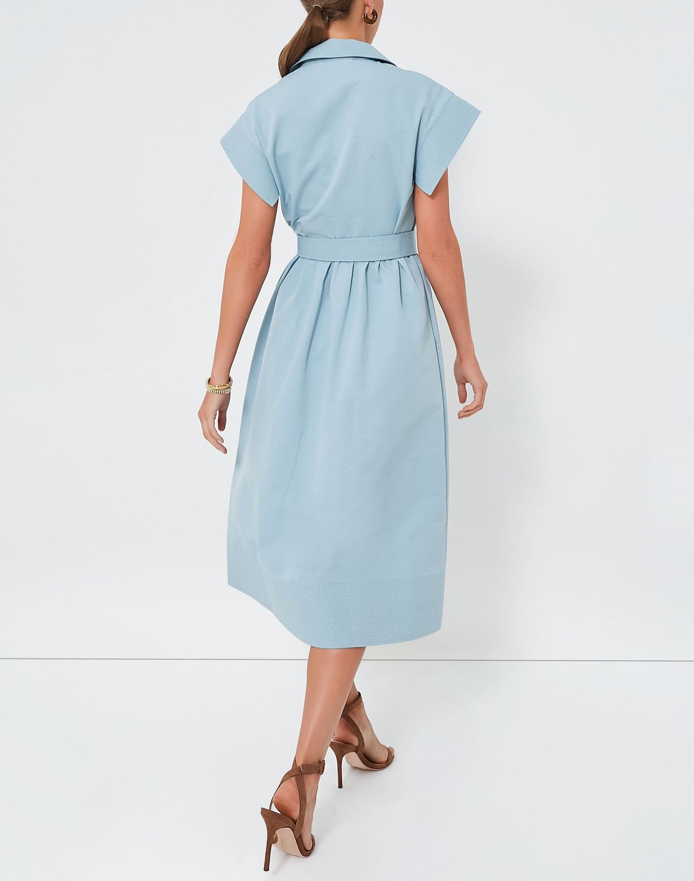 Classic Button-Up Belted Chloe Dress