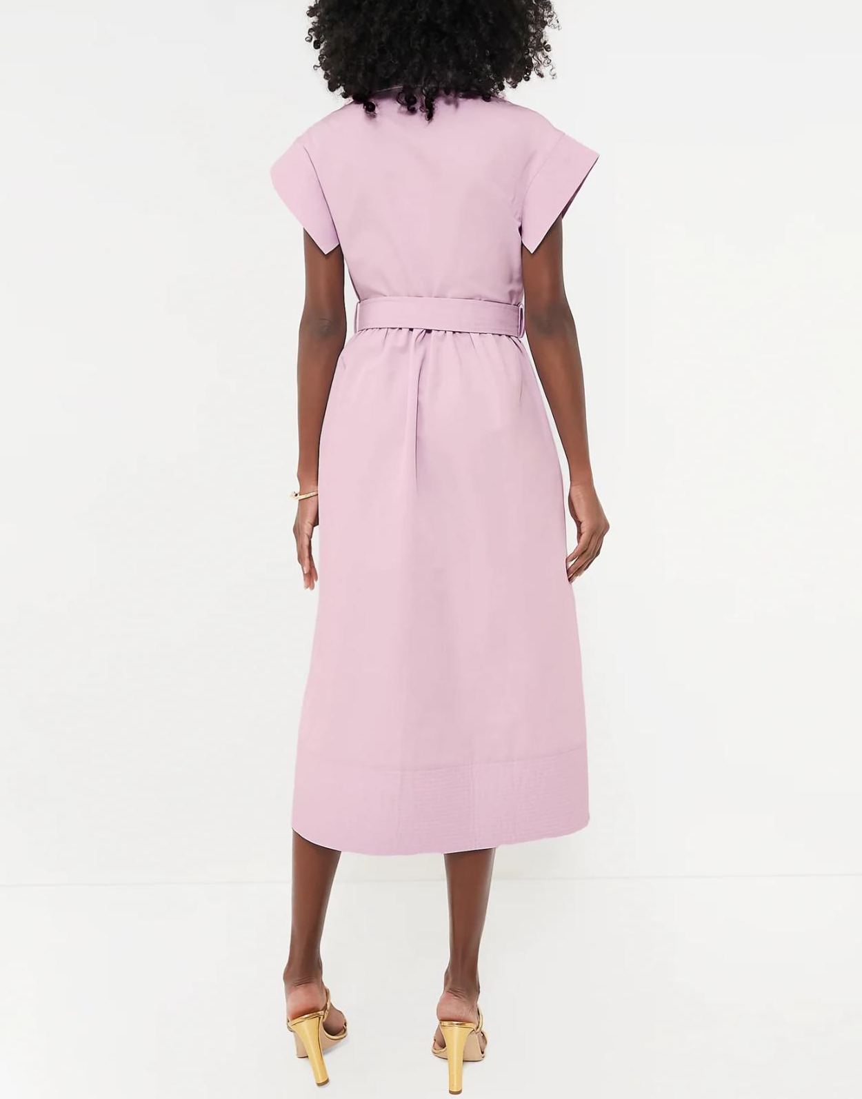 Classic Button-Up Belted Chloe Dress