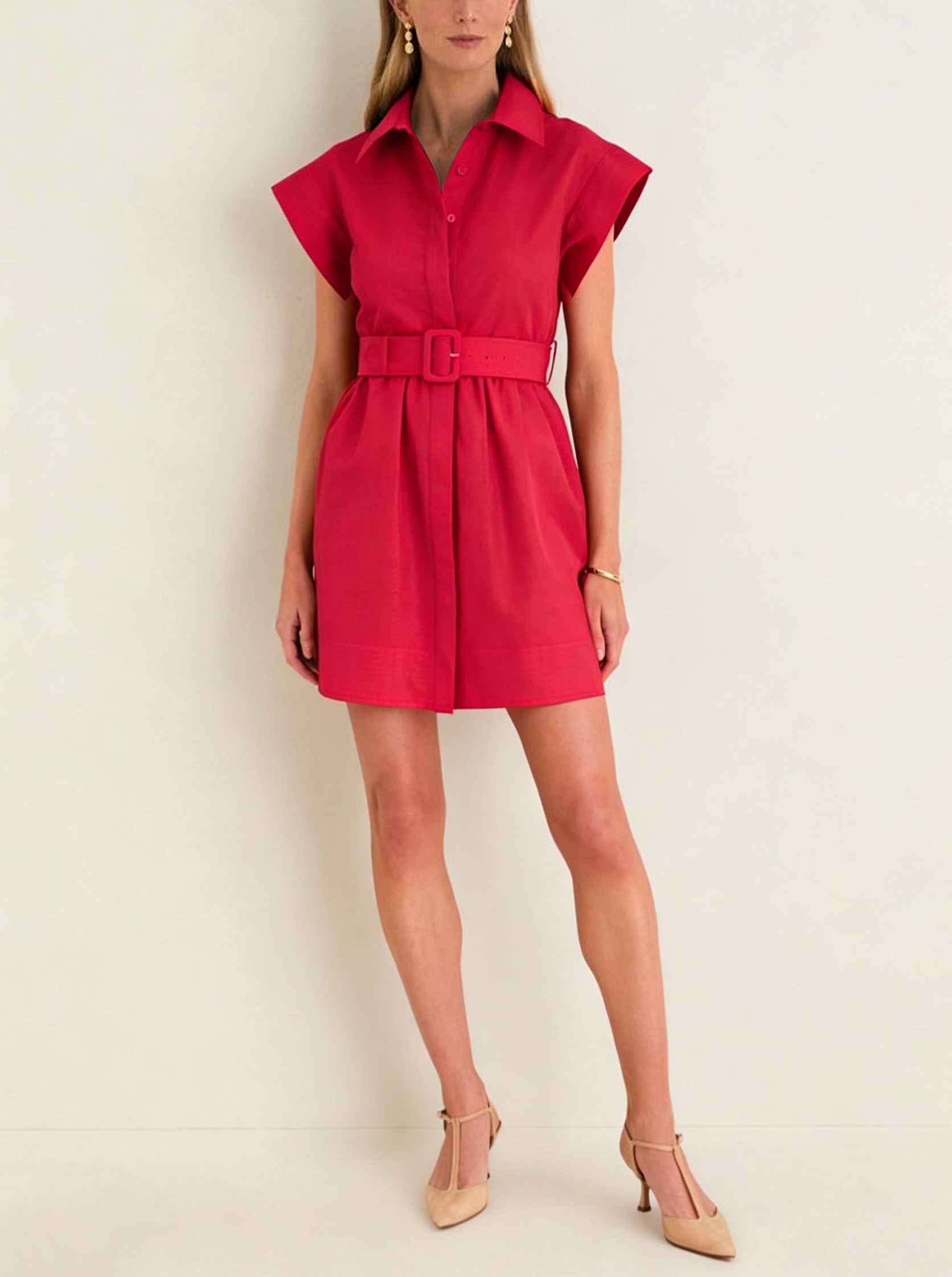 Classic Button-Up Belted Mini Chloe Dress