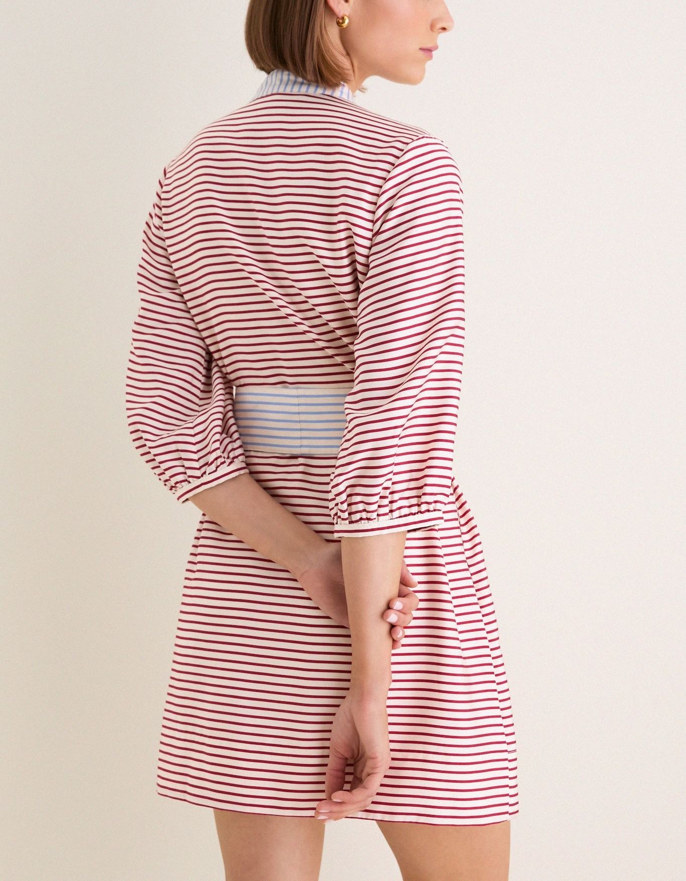 Cisco Stripe Calliope Mini Dress