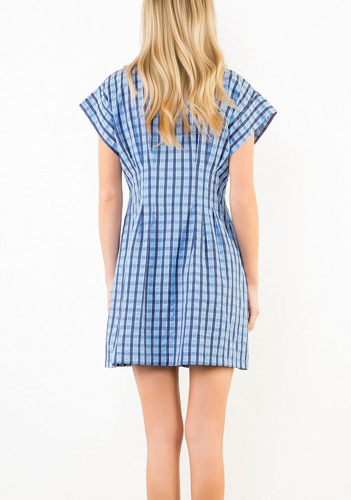 Blue Gingham Collared Dress