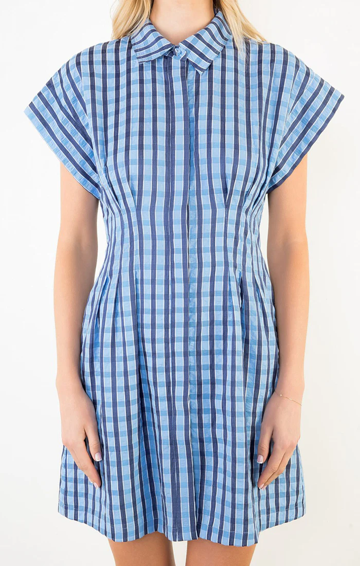 Blue Gingham Collared Dress