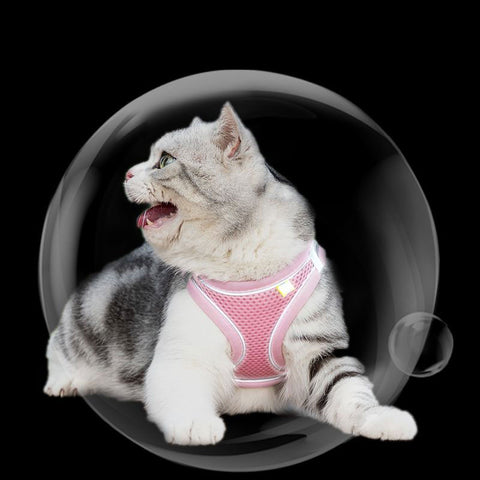 Cat Harness and Leash Adjustable Mesh 5 Color Reflective Vest Leash Set