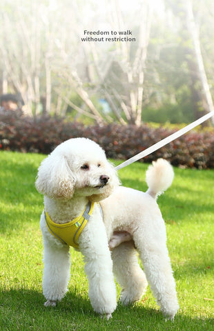 Cat Harness and Leash Adjustable Mesh 5 Color Reflective Vest Leash Set